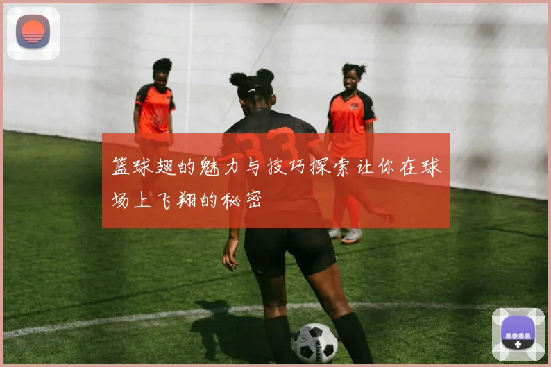篮球翅的魅力与技巧探索让你在球场上飞翔的秘密
