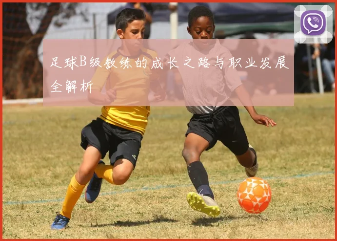 足球B级教练的成长之路与职业发展全解析