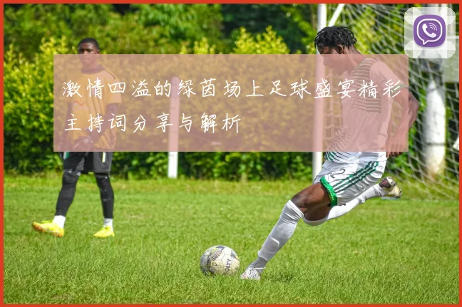 激情四溢的绿茵场上足球盛宴精彩主持词分享与解析