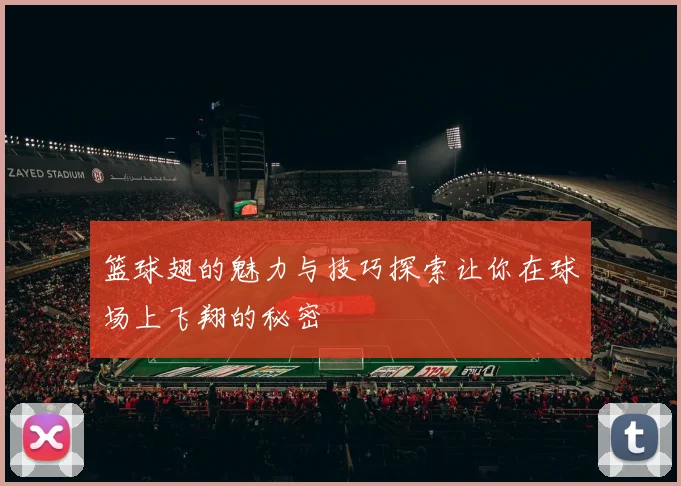 篮球翅的魅力与技巧探索让你在球场上飞翔的秘密